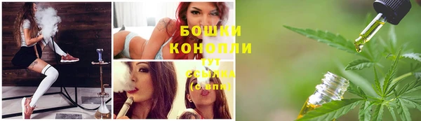 стафф Володарск