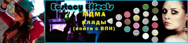 прущие грибы Верхний Тагил