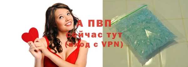 прущие грибы Верхний Тагил