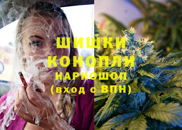 стафф Володарск