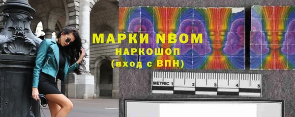 прущие грибы Верхний Тагил