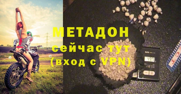 прущие грибы Верхний Тагил