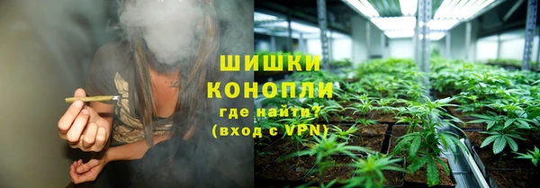 прущие грибы Верхний Тагил