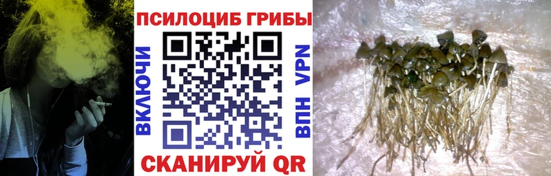 MEGA как войти  Новохопёрск  Псилоцибиновые грибы прущие грибы  продажа наркотиков 